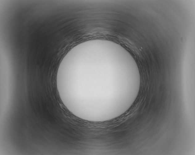 X0000114651060200910200956