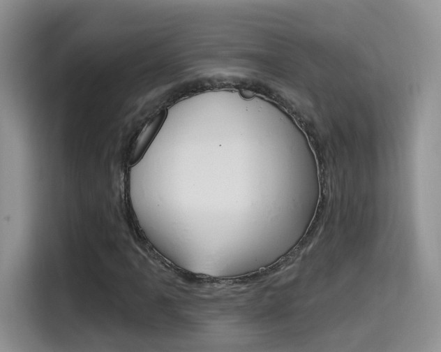 X0000114651061200910200956