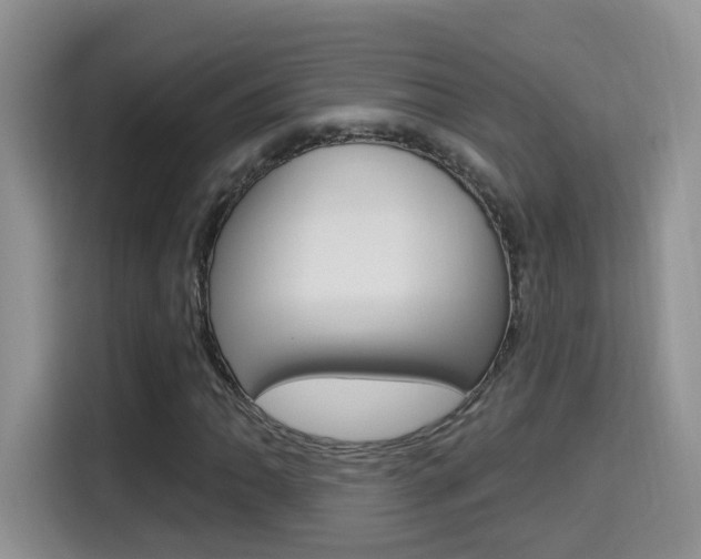 X0000114651062200910200956