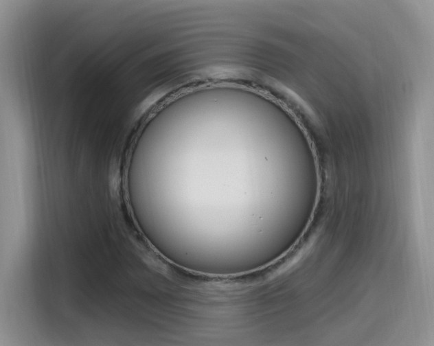 X0000114651065200910200956