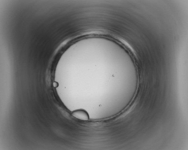 X0000114651067200910200956