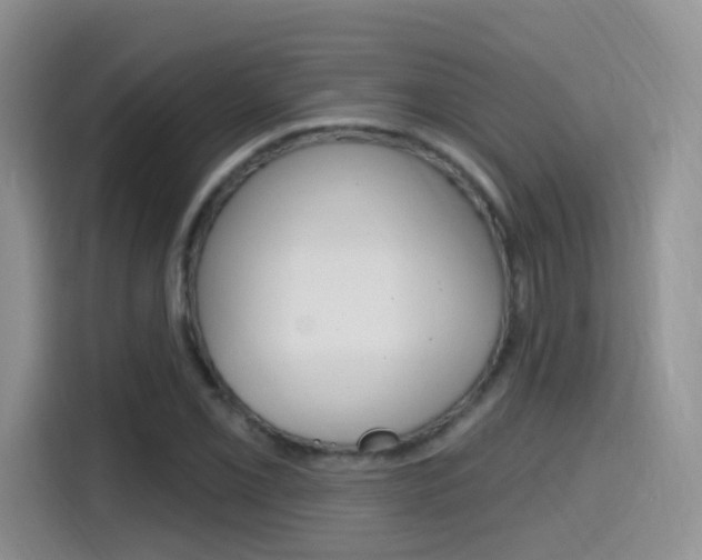 X0000114651069200910200956