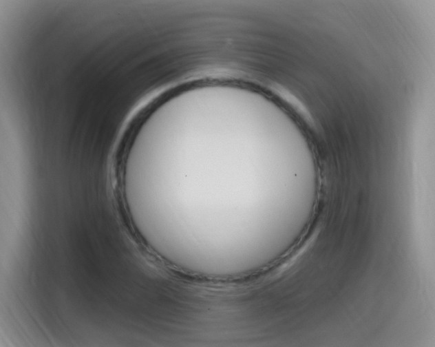X0000114651070200910200956