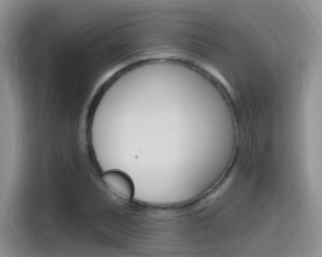 X0000114651071200910200956