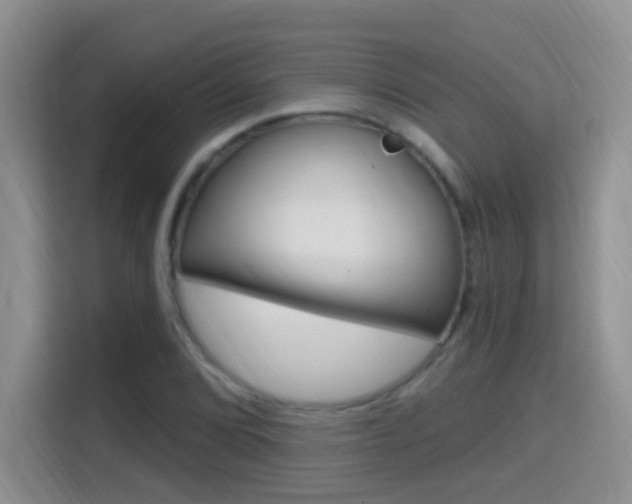 X0000114651072200910200956
