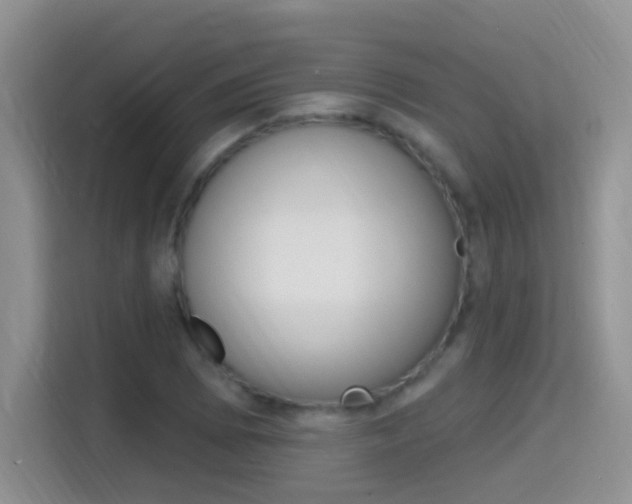 X0000114651073200910200956