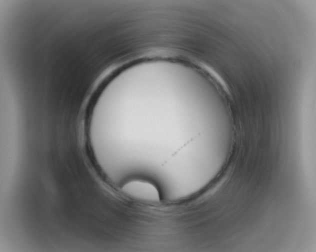 X0000114651075200910200956