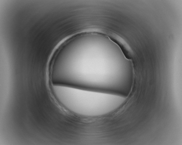 X0000114651076200910200956