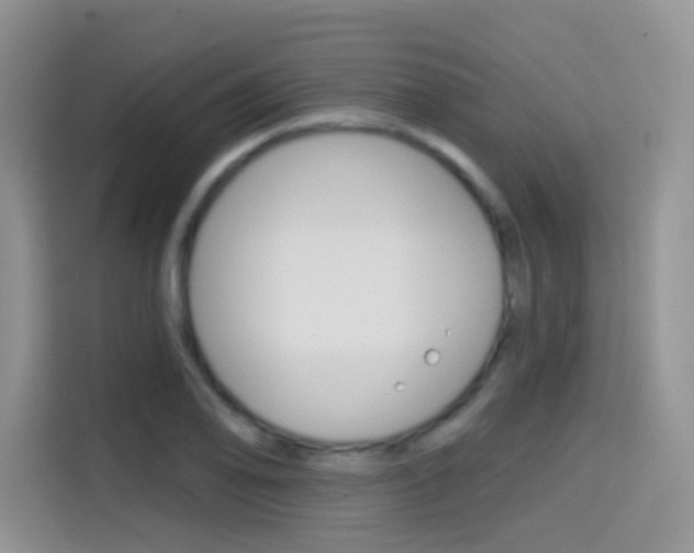 X0000114651078200910200956