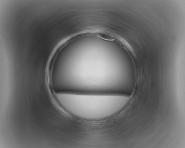 X0000114651080200910200956