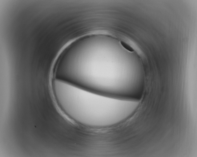 X0000114651084200910200956