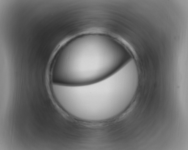 X0000114651085200910200956