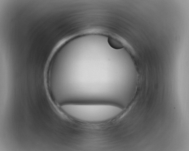X0000114651086200910200956