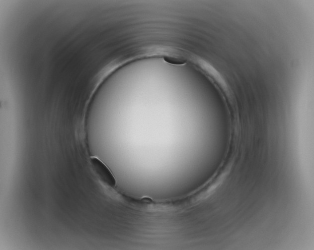 X0000114651089200910200956
