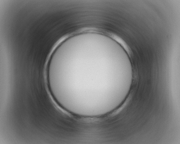 X0000114651090200910200956