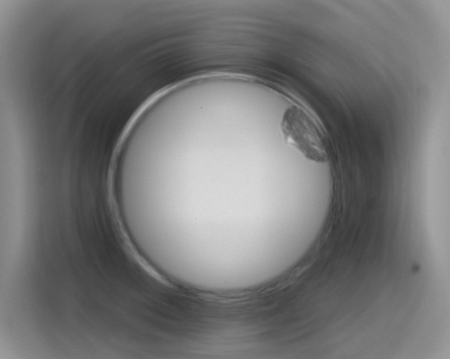 X0000114651092200910200956