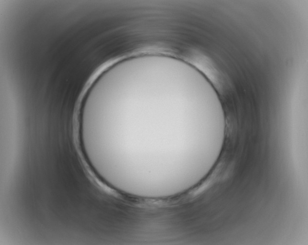 X0000114651094200910200956