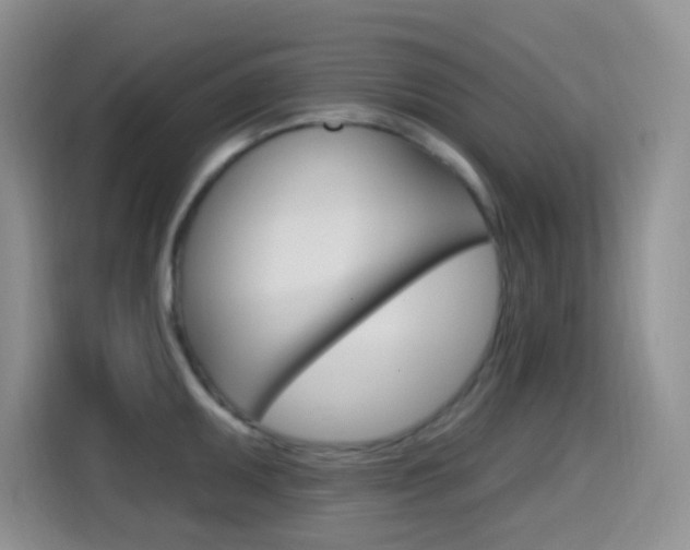 X0000114651095200910200956