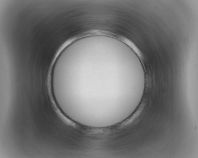 X0000114651098200910200956