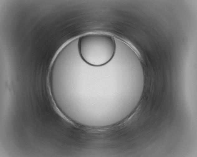 X0000114651100200910200956