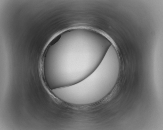 X0000114651101200910200956