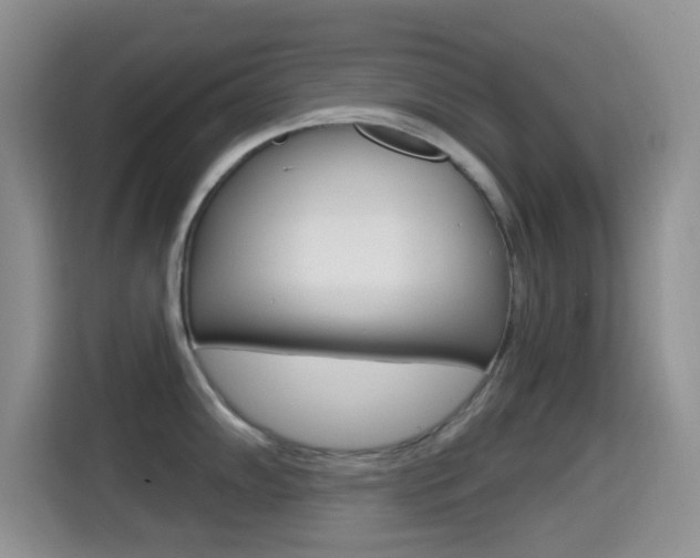 X0000114651102200910200956