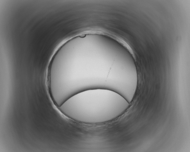 X0000114651103200910200956