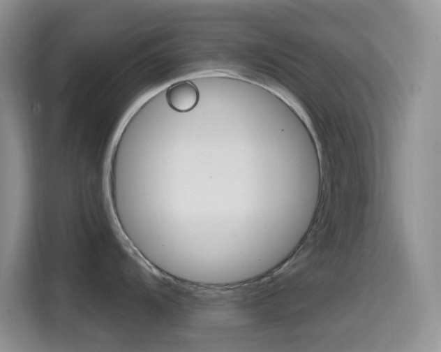 X0000114651104200910200956