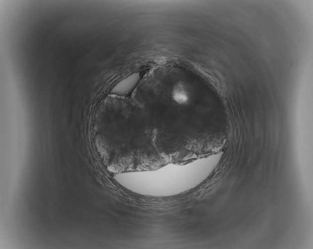 X0000114651105200910200955