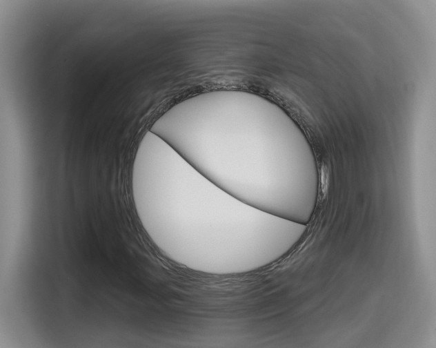 X0000114651107200910200955