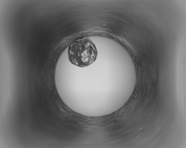 X0000114651110200910200955
