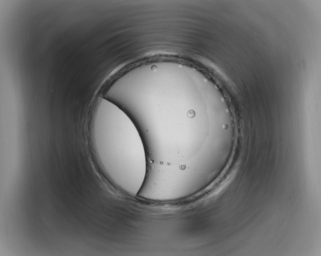 X0000114651113200910200955