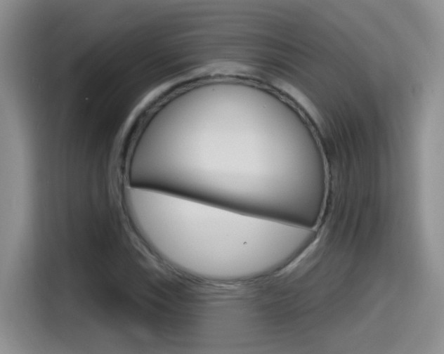 X0000114651115200910200955