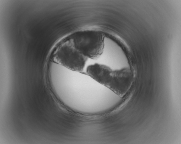 X0000114651117200910200955