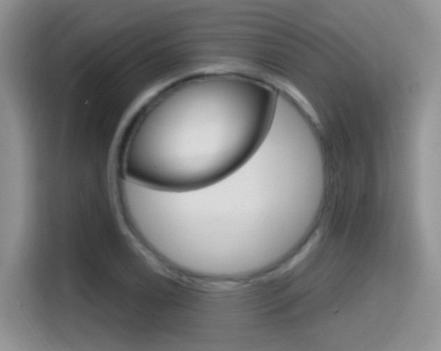X0000114651122200910200955