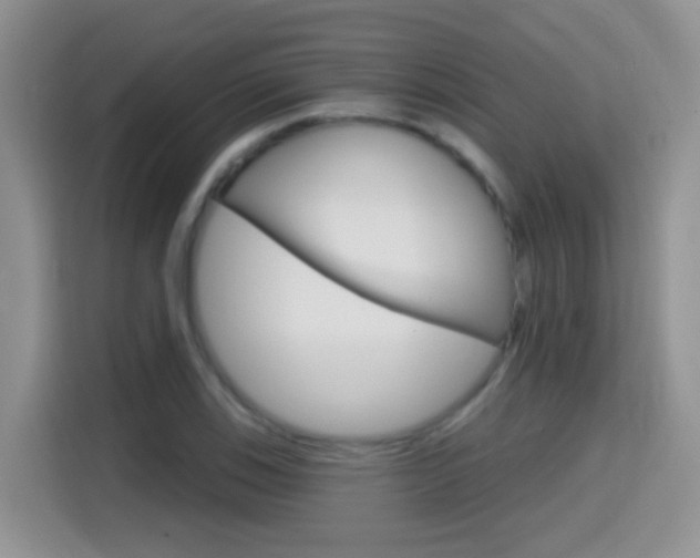 X0000114651123200910200955