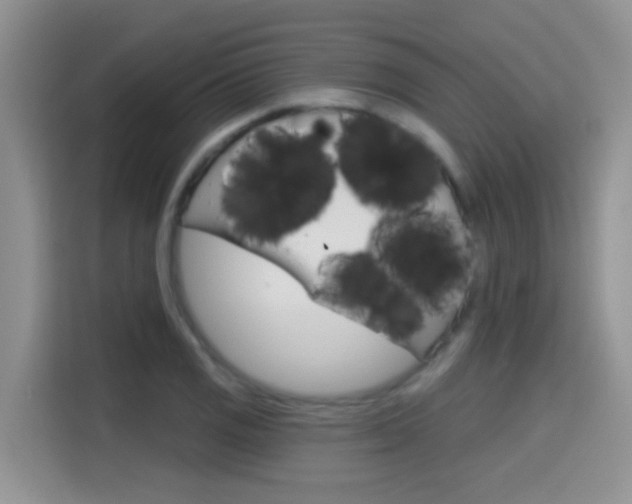 X0000114651125200910200955