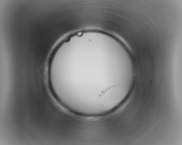 X0000114651126200910200955