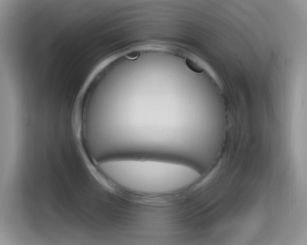 X0000114651131200910200955