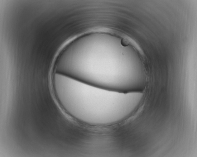 X0000114651133200910200955