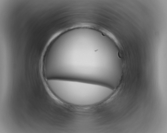 X0000114651135200910200955