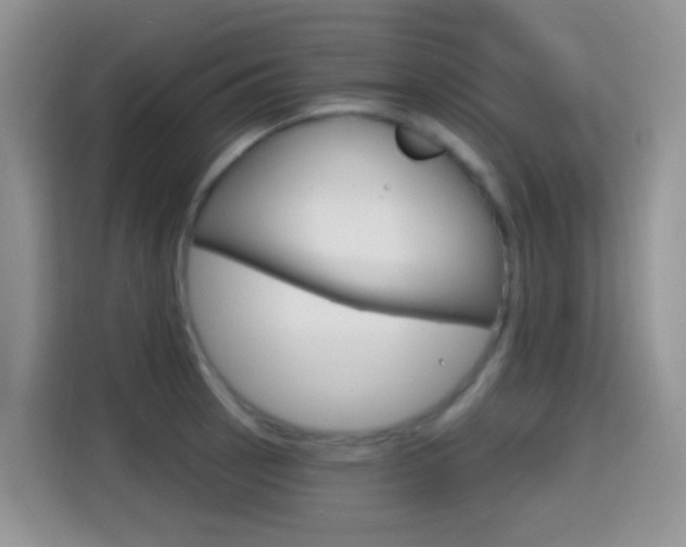 X0000114651137200910200955