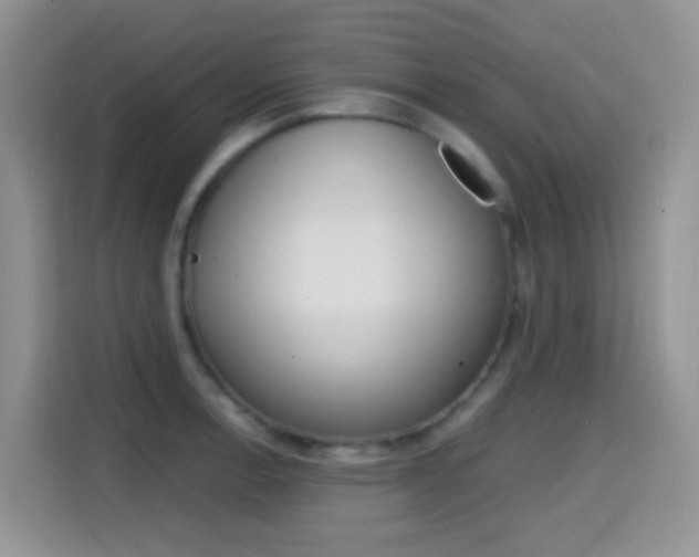 X0000114651138200910200955