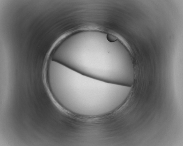 X0000114651139200910200955
