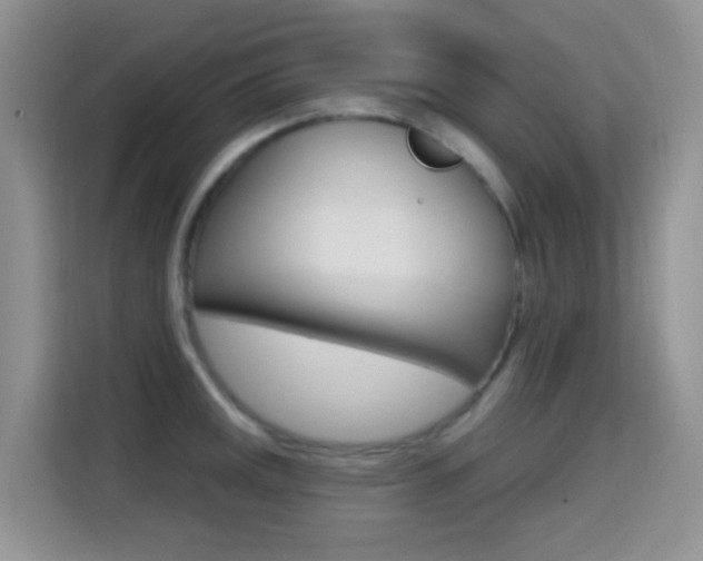 X0000114651141200910200955