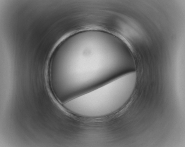 X0000114651142200910200955