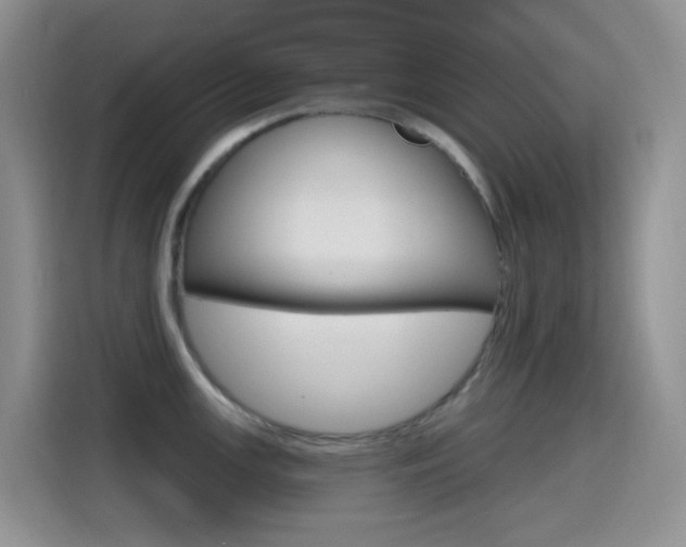 X0000114651147200910200955