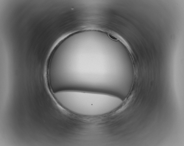 X0000114651149200910200956