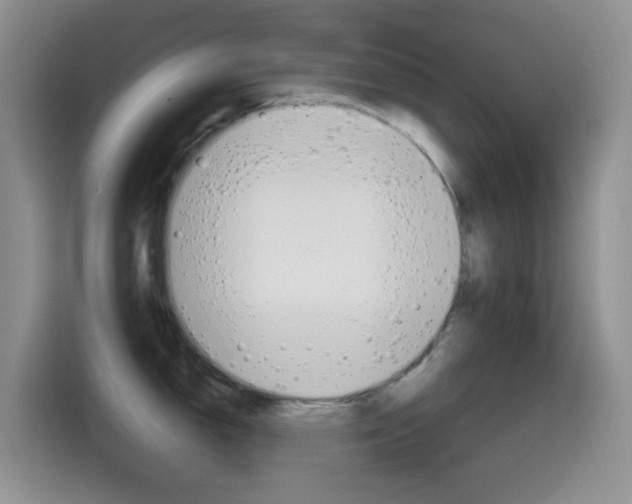 X0000114651150200910200956