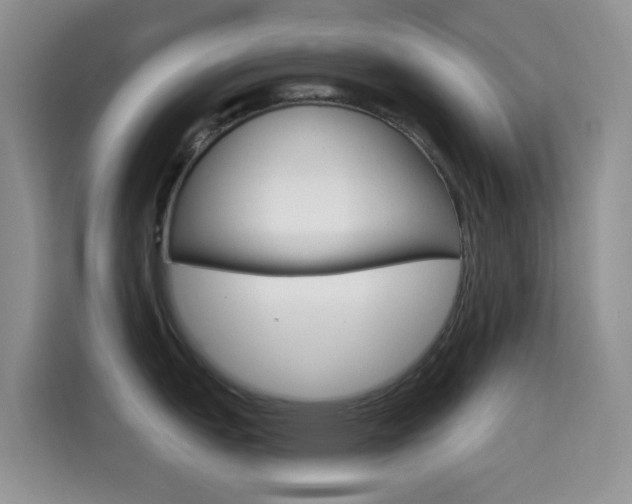 X0000114651151200910200956